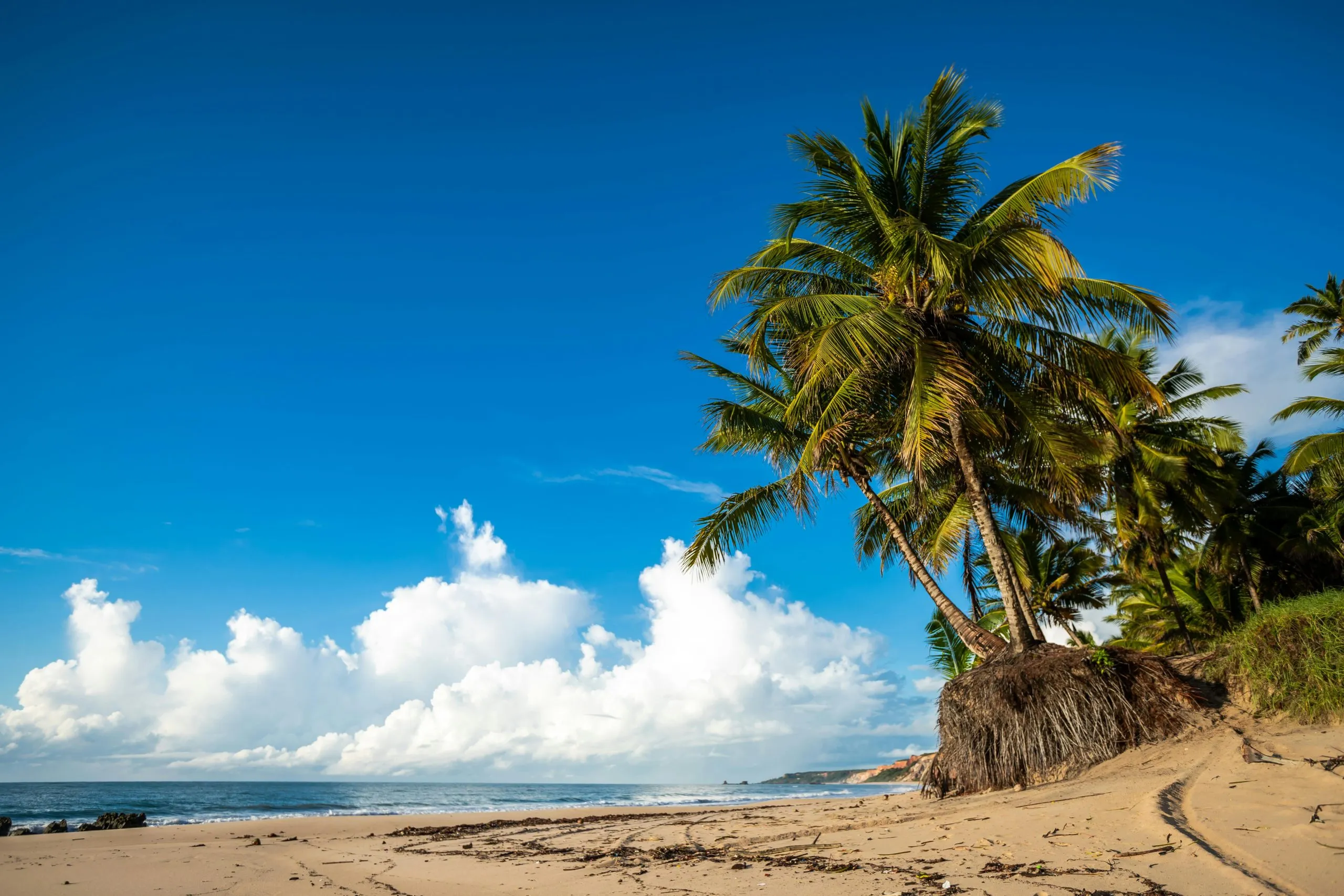 Martinique Aimé Césaire International Airport (FDF) — The Complete Master Guide 2026