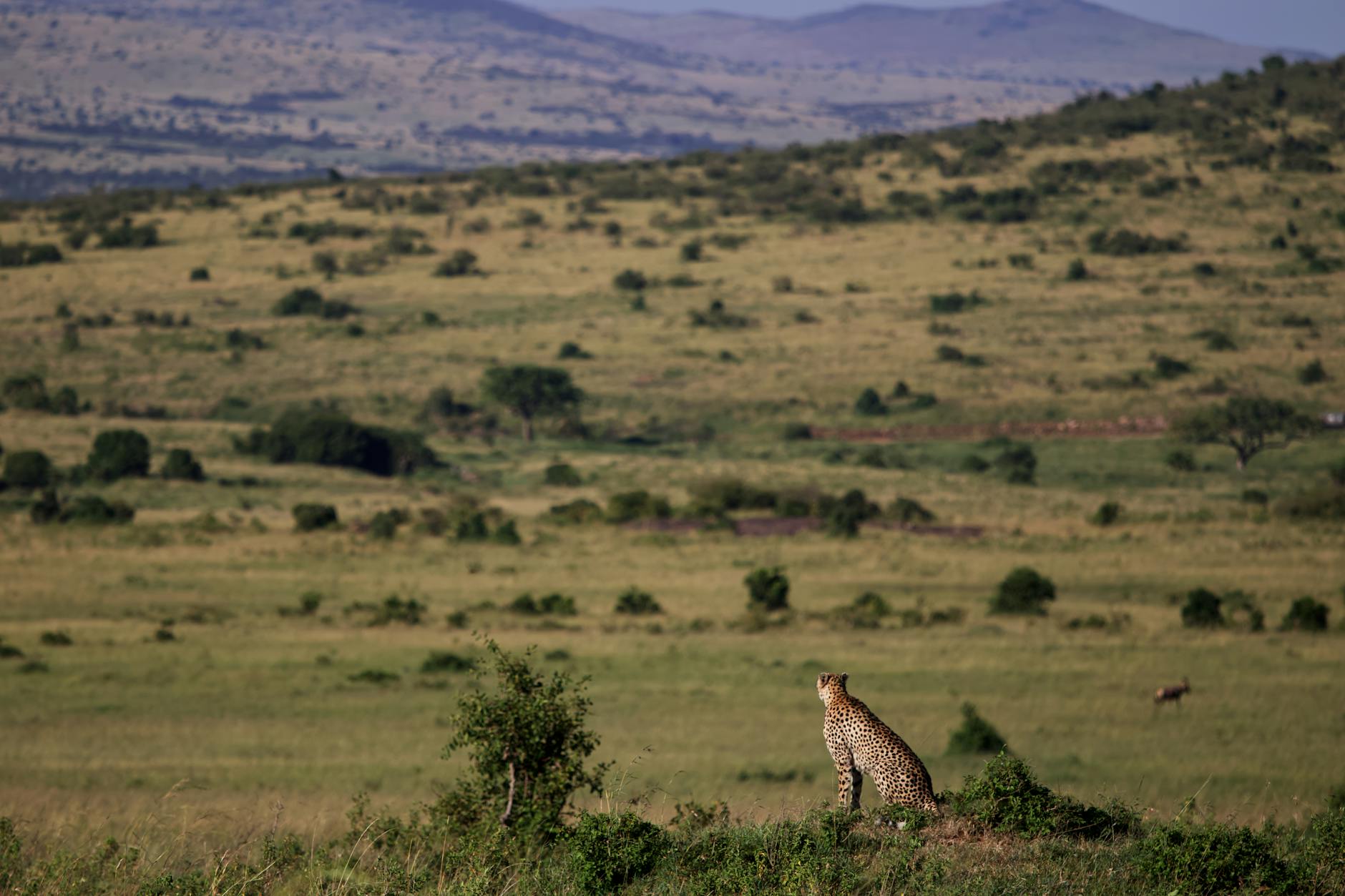 Nairobi Kenya — flight deal hero