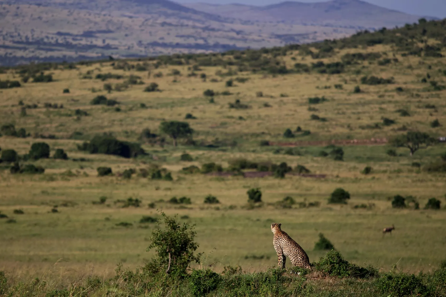 Nairobi Kenya — flight deal hero