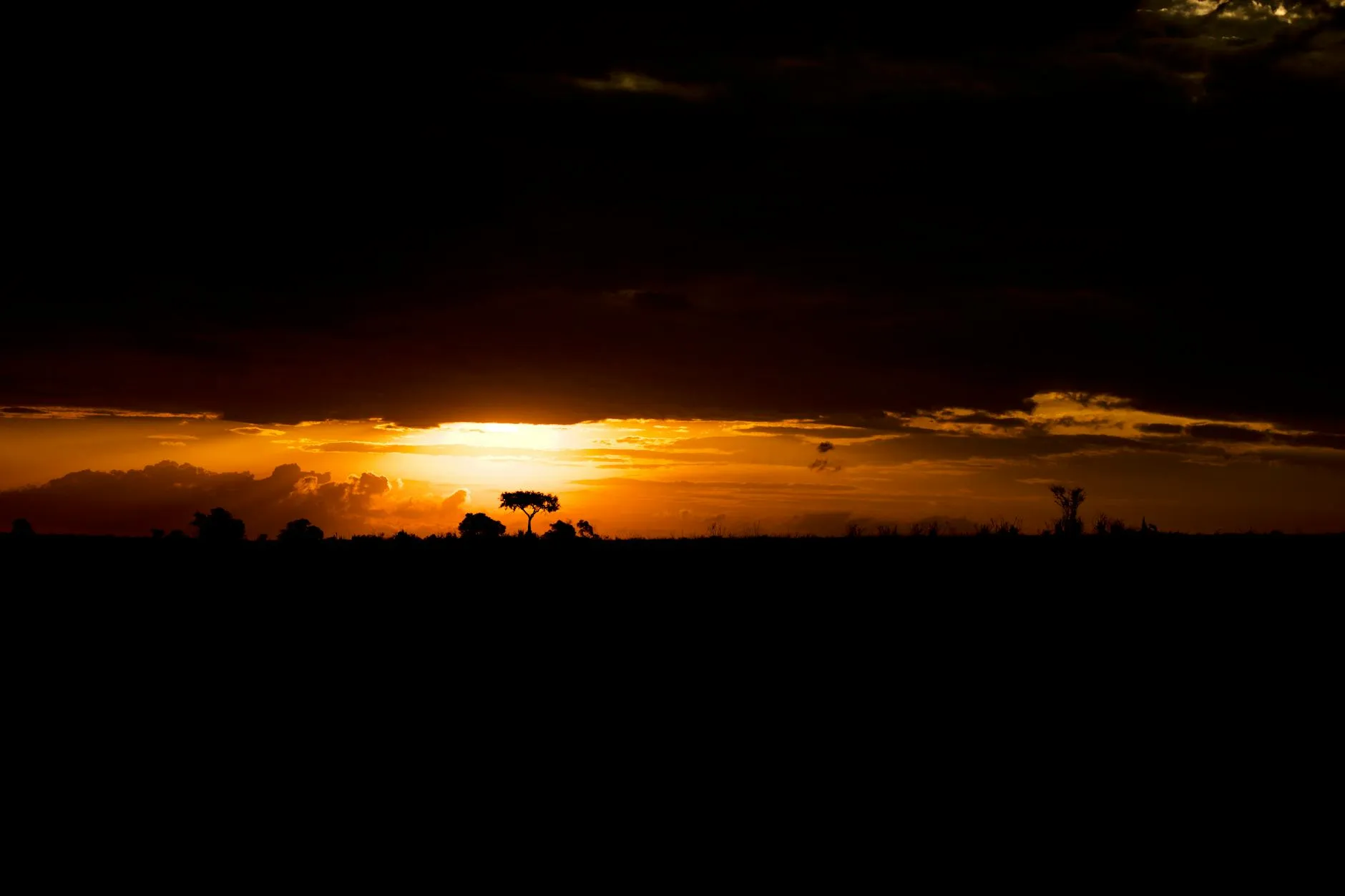N'Djamena Chad — Sahel landscape: Breathtaking sunset over the African savanna with vibrant orange hues and silhouetted trees.