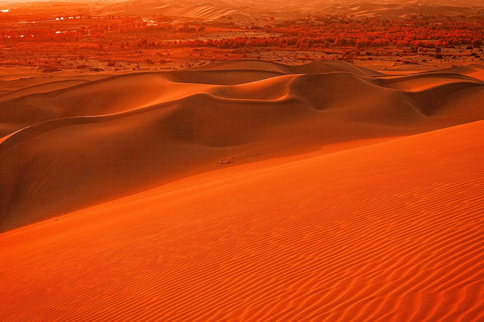 Niger — Vast desert landscape with golden sand dunes illuminated by sunset, creating a warm and arid ambiance.