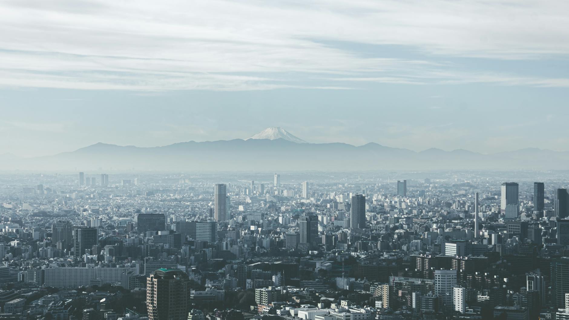 Tokyo landmark in Tokyo