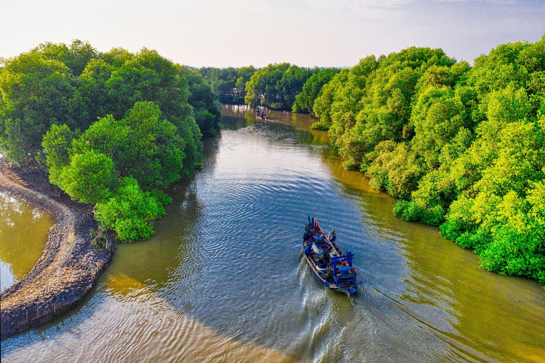 Niger Delta wetlands