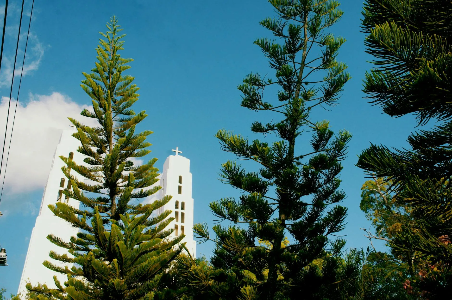 Santiago, Dominican Republic — A striking church tower emerges behind tall pine trees under a clear blue sky in Santiago, Dominican Republic.