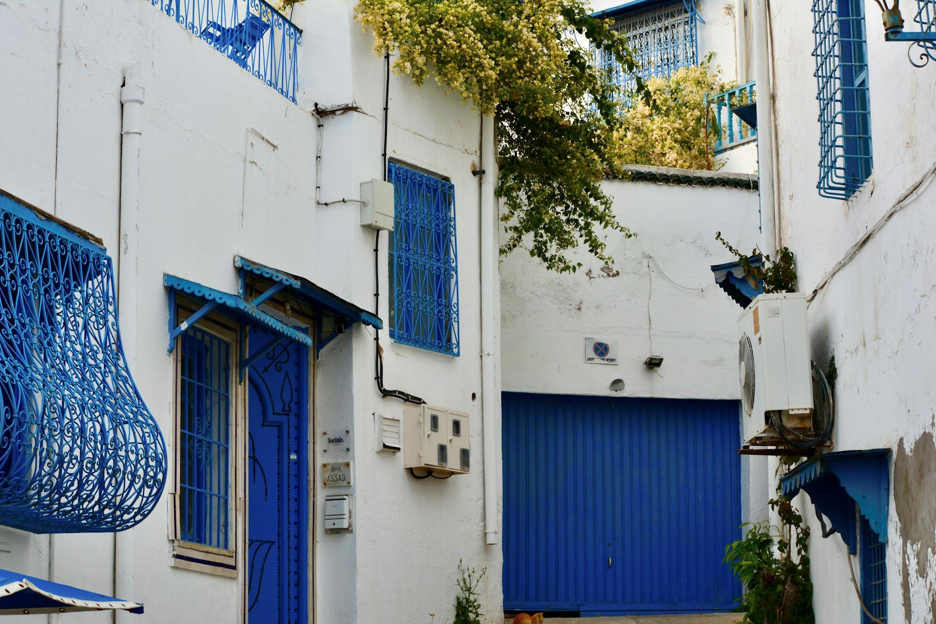 Explore a picturesque alley in Sidi Bou Said, showcasing traditional blue and white architecture.