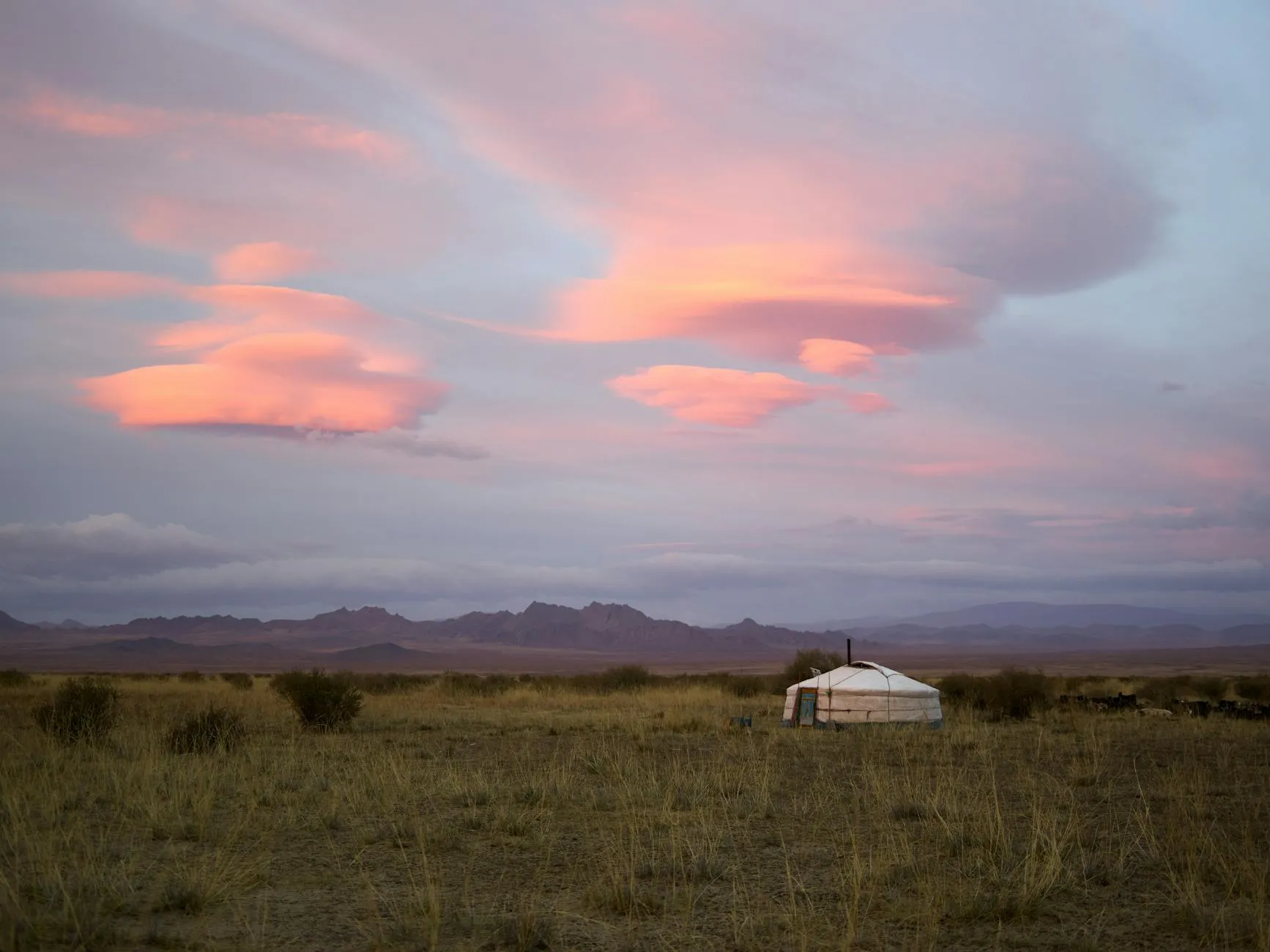 Mongolia Ulaanbaatar — Picturesque scenery of grassy prairie with single white traditional Mongolian ger located far from mountain range under amazing sky with pink clouds in overcast weather