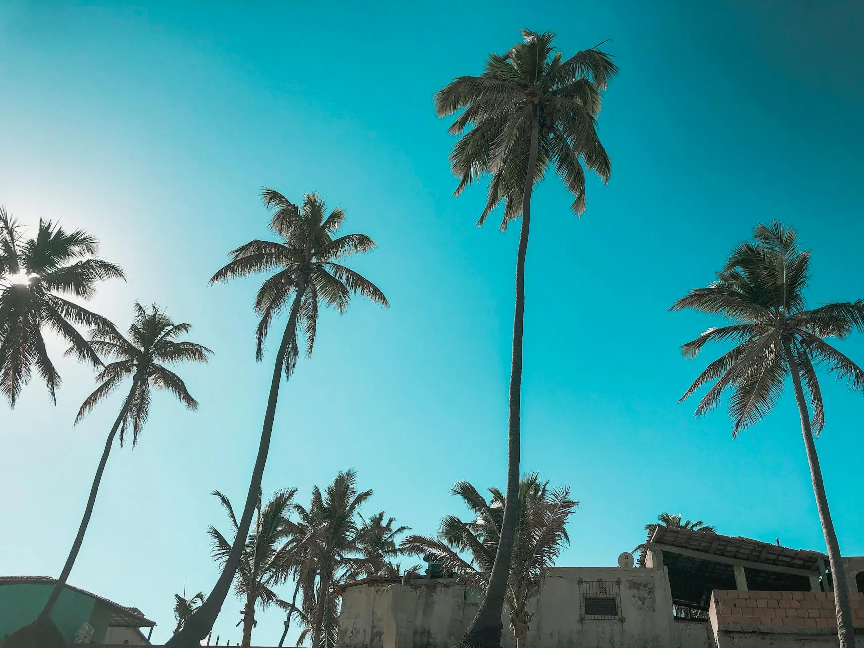 Côte d'Ivoire — Atlantic lagoon coast in daylight