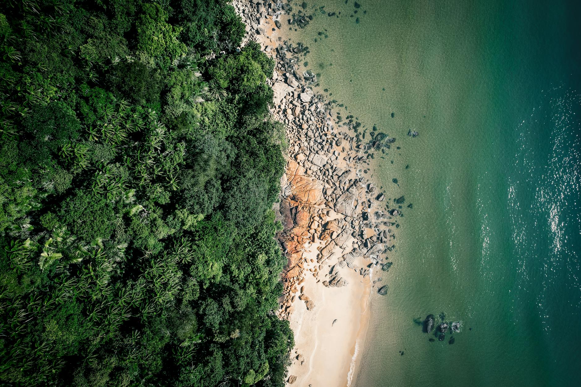 Côte d'Ivoire — West African rainforest