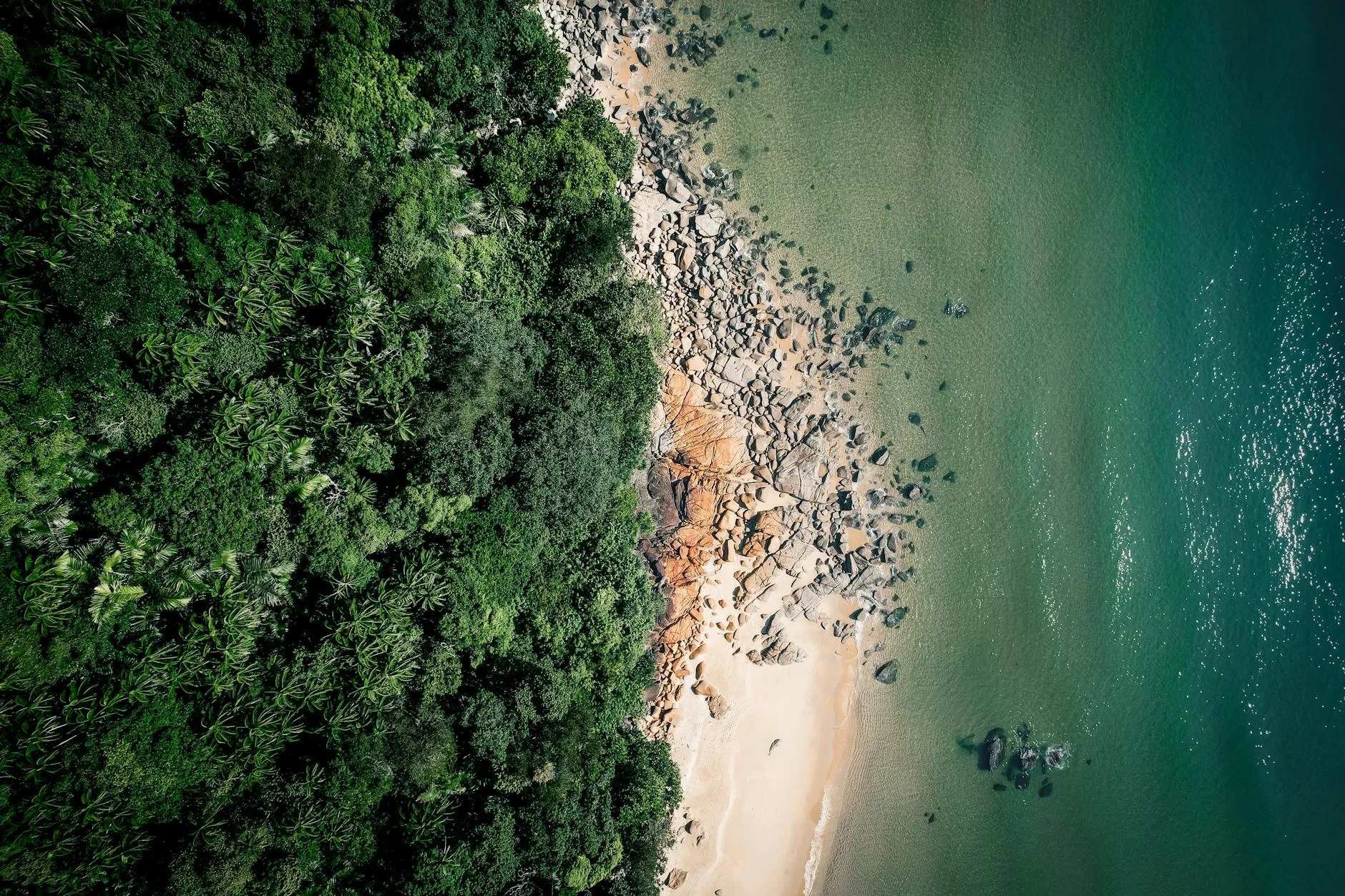 Côte d'Ivoire — West African rainforest