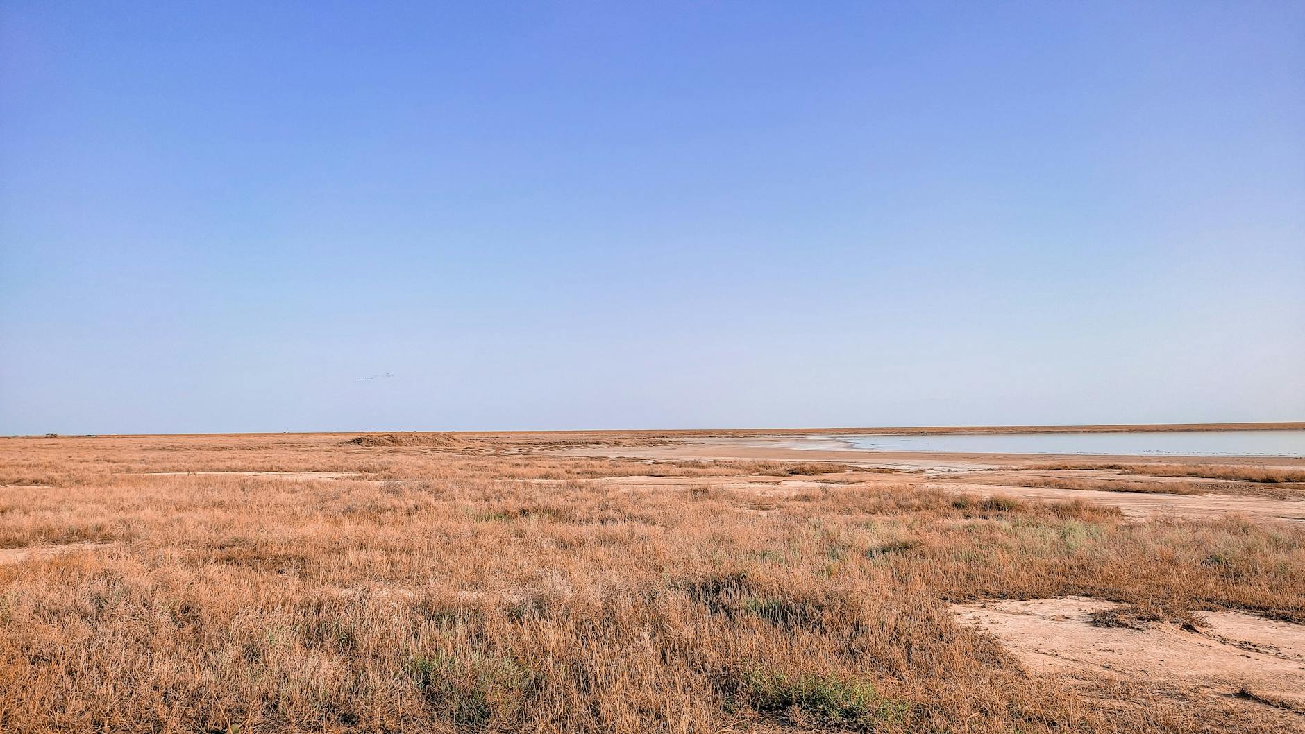 Western Kazakhstan steppe