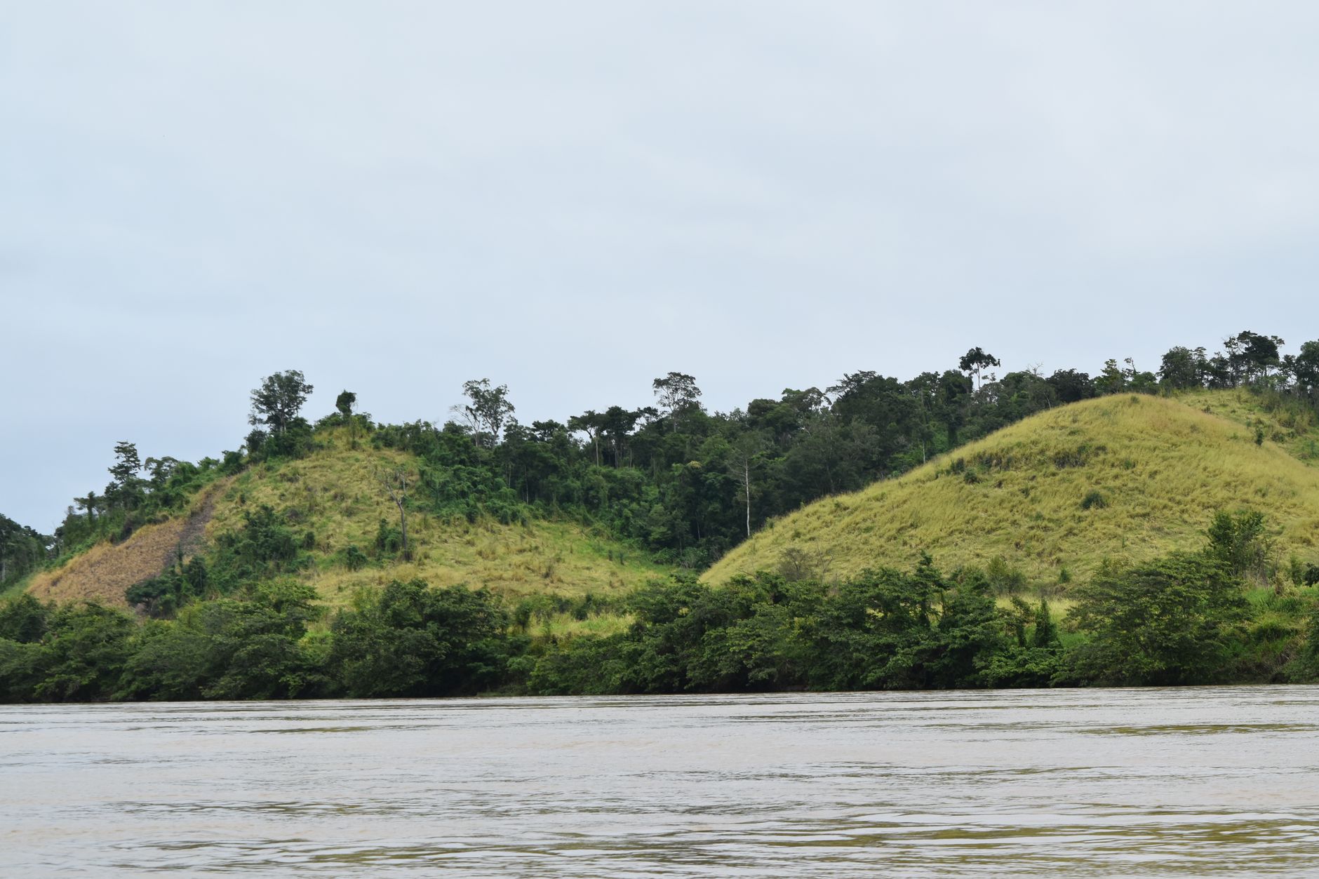 Central African Republic — rainforest / savanna