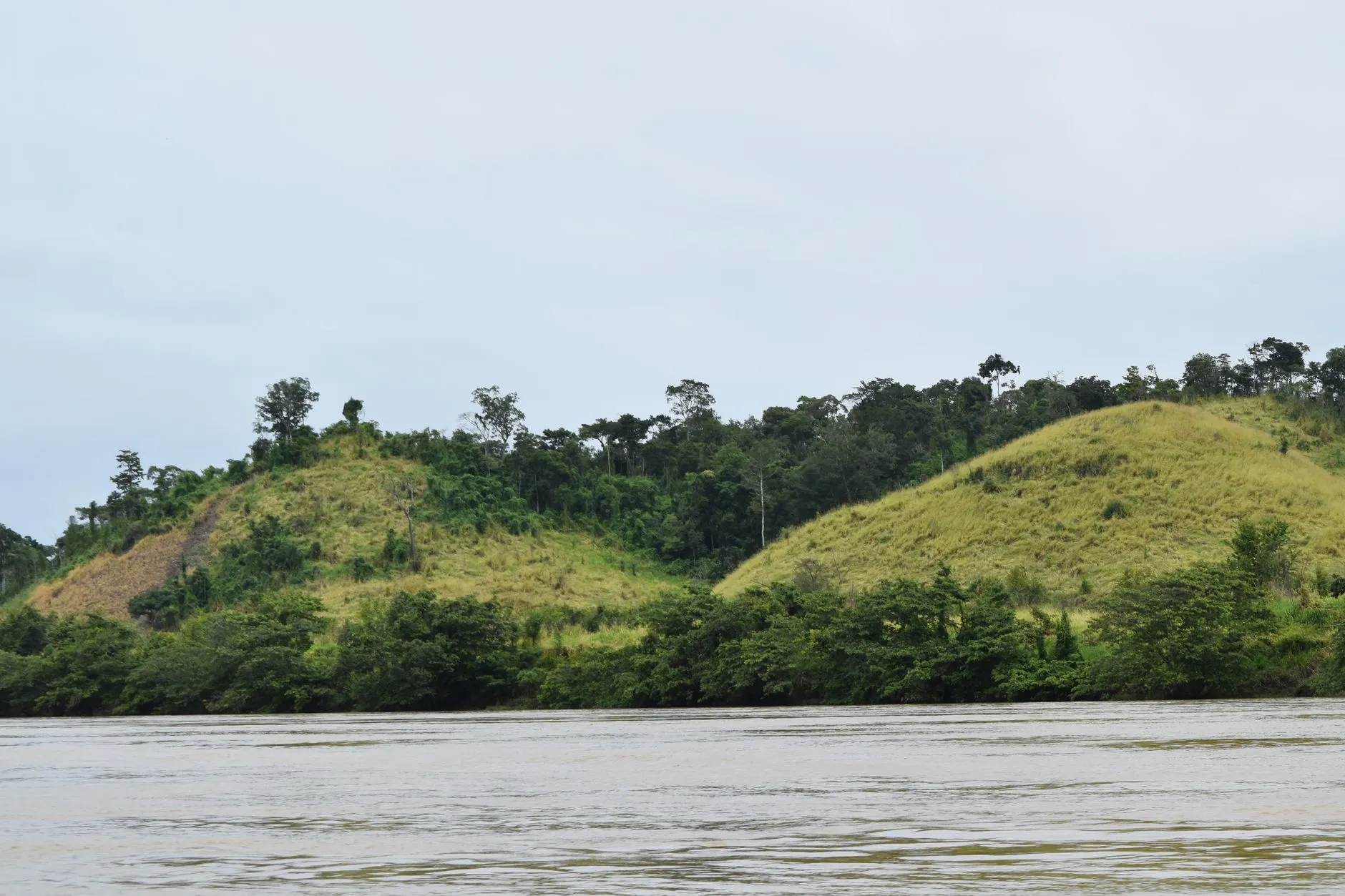 Central African Republic — rainforest / savanna