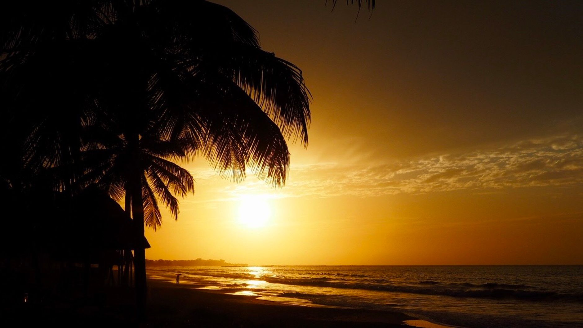 The Gambia — Golden sunset over a Gambia beach with silhouette palm trees and serene seascape.