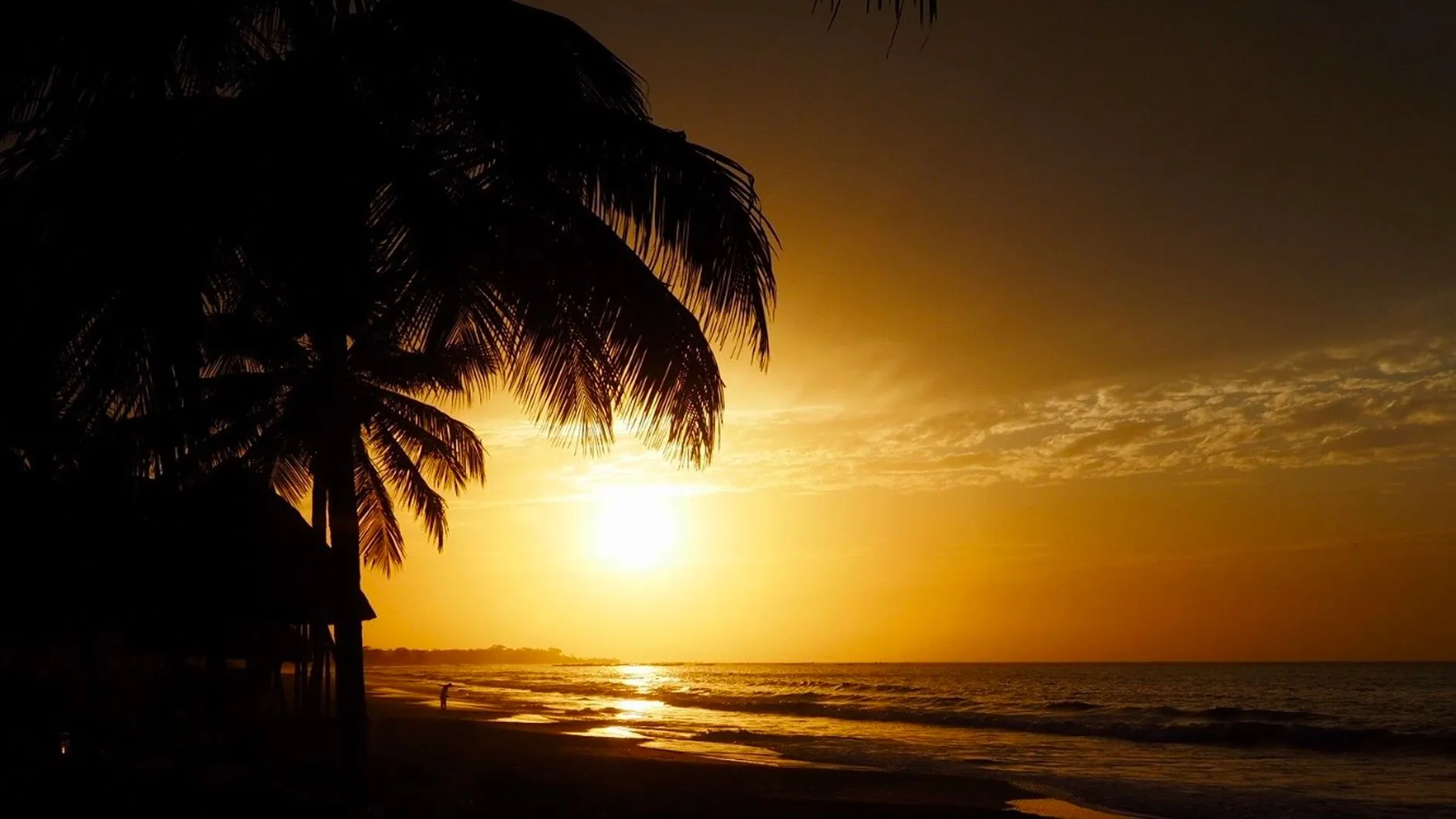 The Gambia — Golden sunset over a Gambia beach with silhouette palm trees and serene seascape.