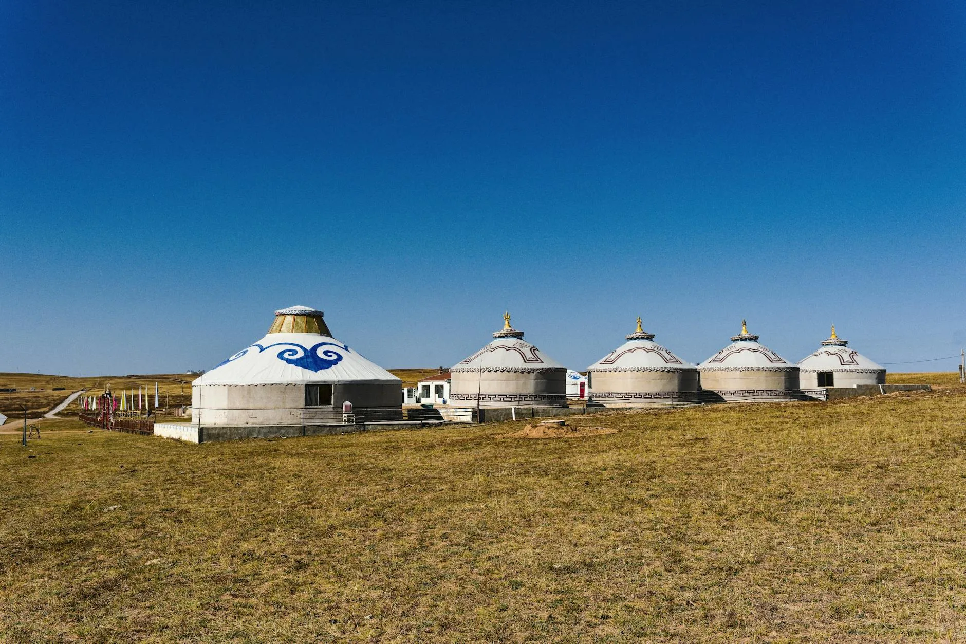 explore the beauty of traditional mongolian yu