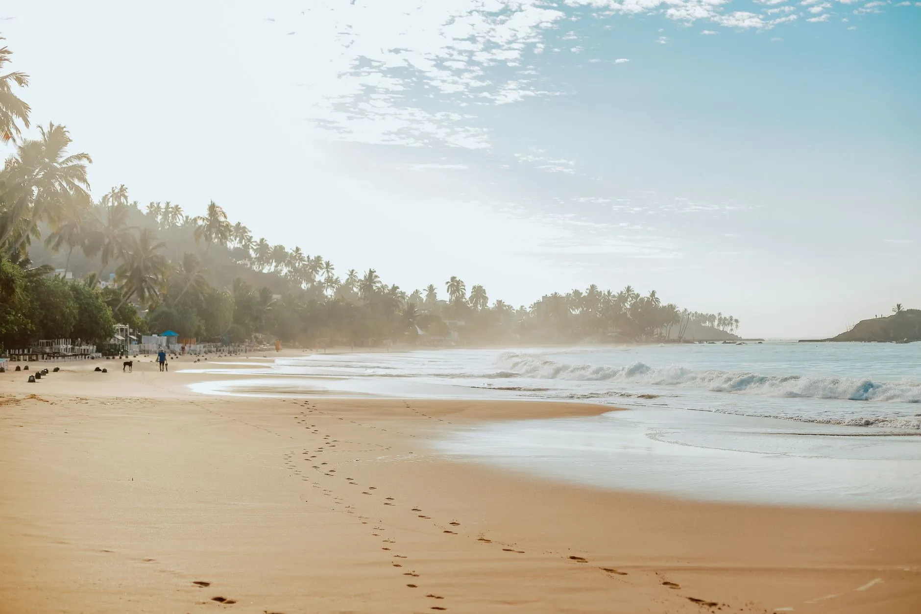 Footprints in the sand at sunrise on Mirissa Beach, Sri Lanka, with palm trees and rolling surf