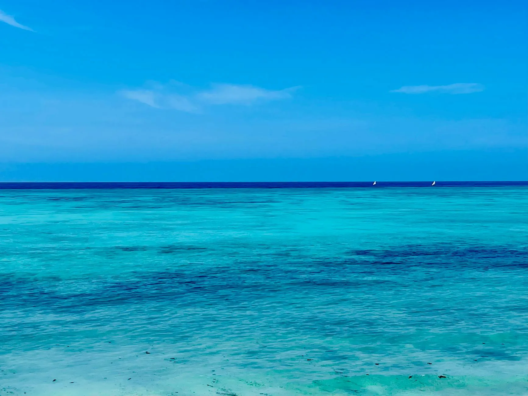 Tanzania — Zanzibar coast / Serengeti wildlife
