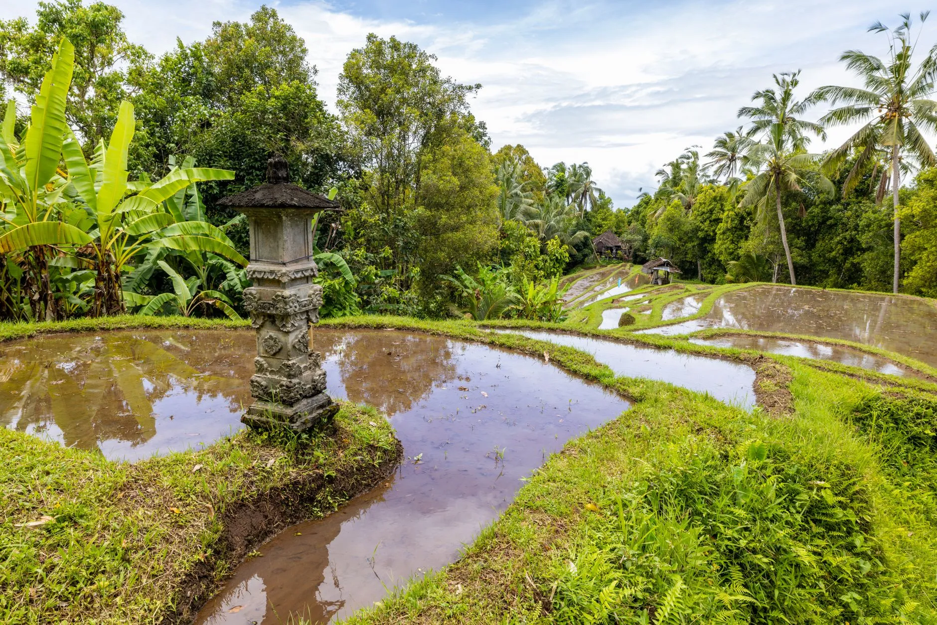 Bali, Indonesia — rice terraces and temples