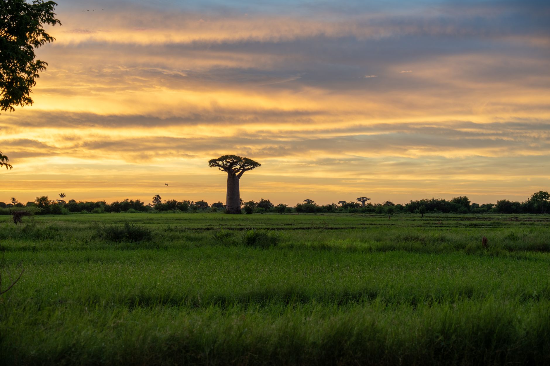 Senegal — West African landscape