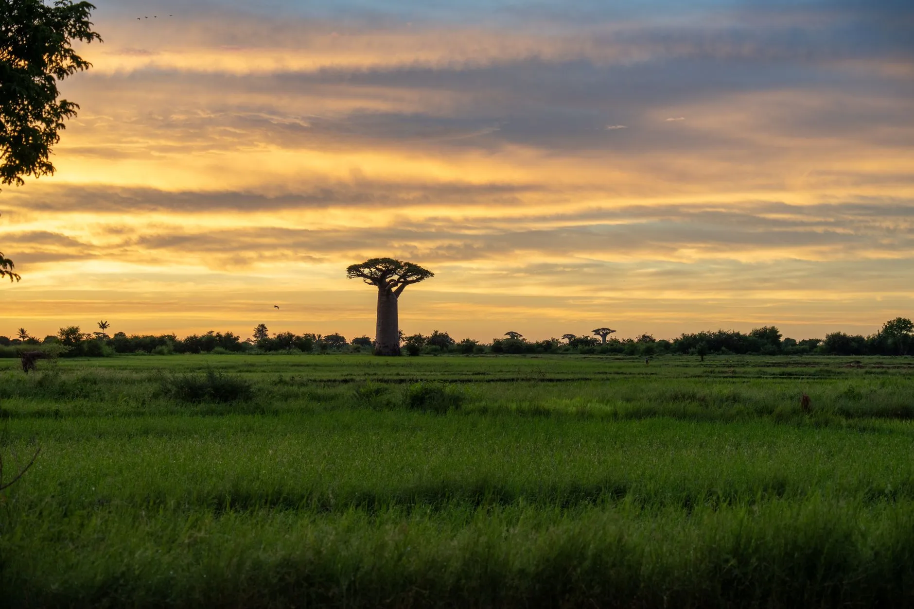 Senegal — West African landscape
