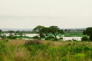 Zürich to Entebbe, Uganda from CHF 434