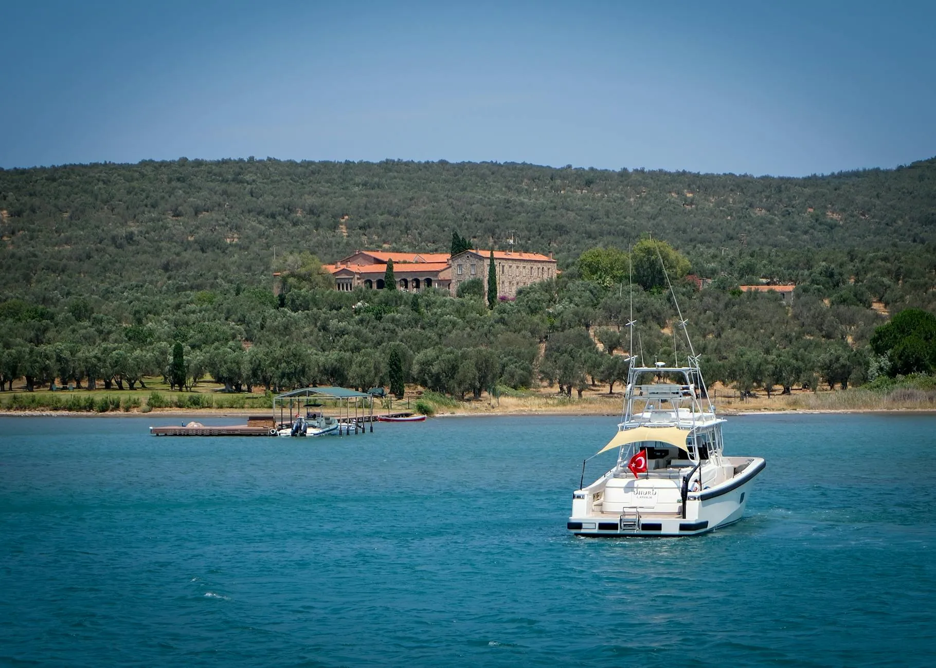 Ayvalık, Türkiye — White boat approaching olive grove coastline near Ayvalık, Türkiye.