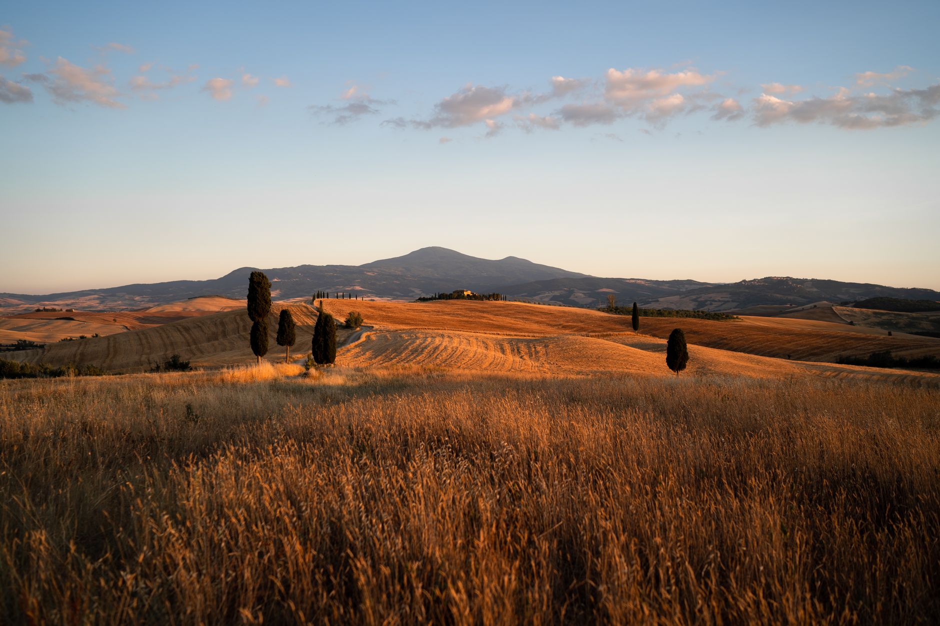 Italy — Breathtaking view of golden fields in Montalcino, Tuscany, Italy at sunset with rolling hills and tall cypress trees.