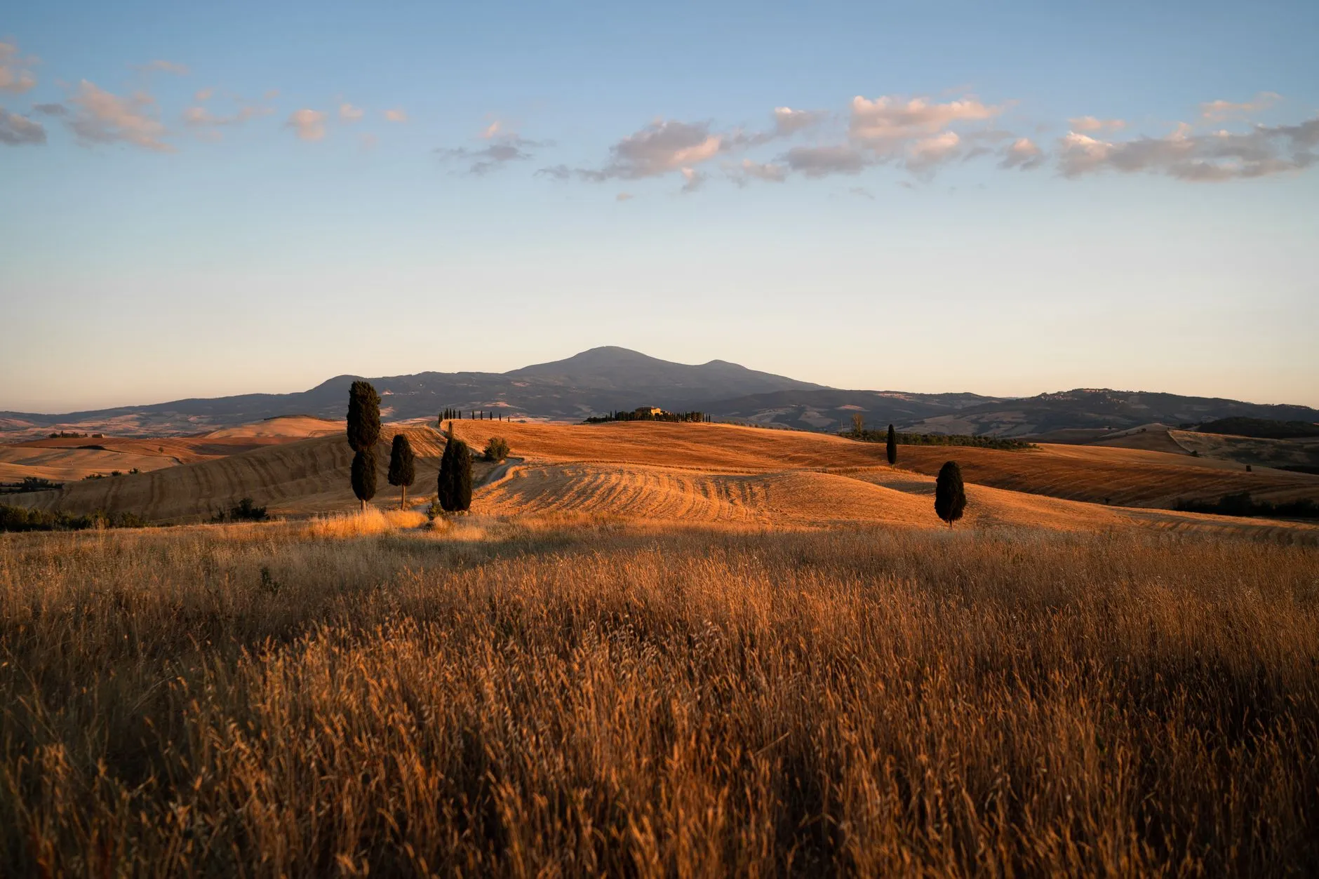 Italy — Breathtaking view of golden fields in Montalcino, Tuscany, Italy at sunset with rolling hills and tall cypress trees.