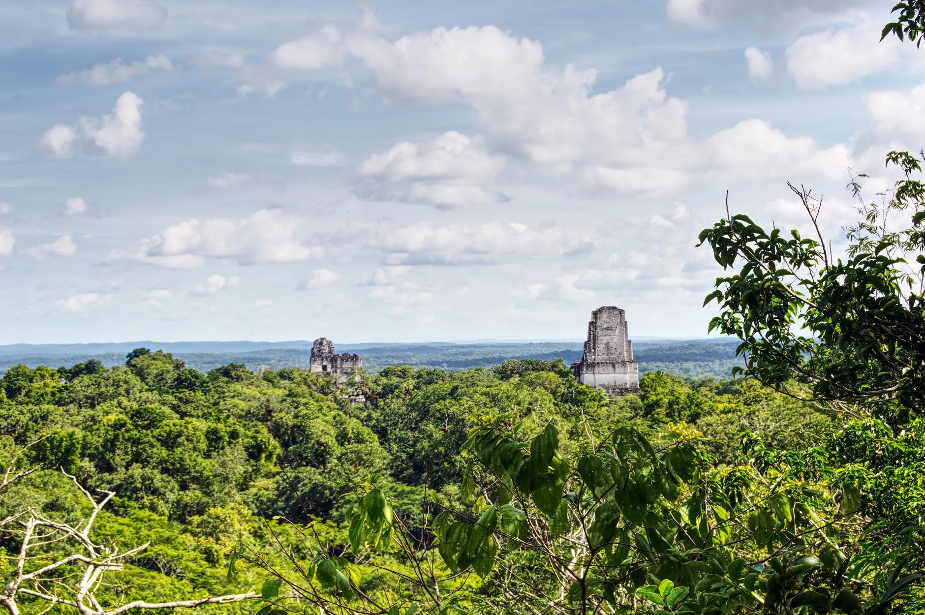Guatemala — Explore the ancient Mayan ruins nestled within the lush jungles of Tikal National Park, Guatemala.