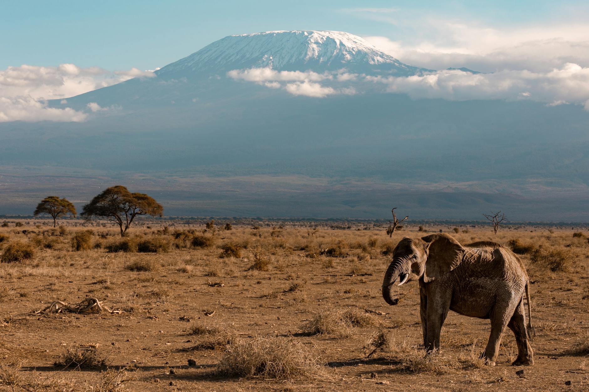 Tanzania — Mount Kilimanjaro