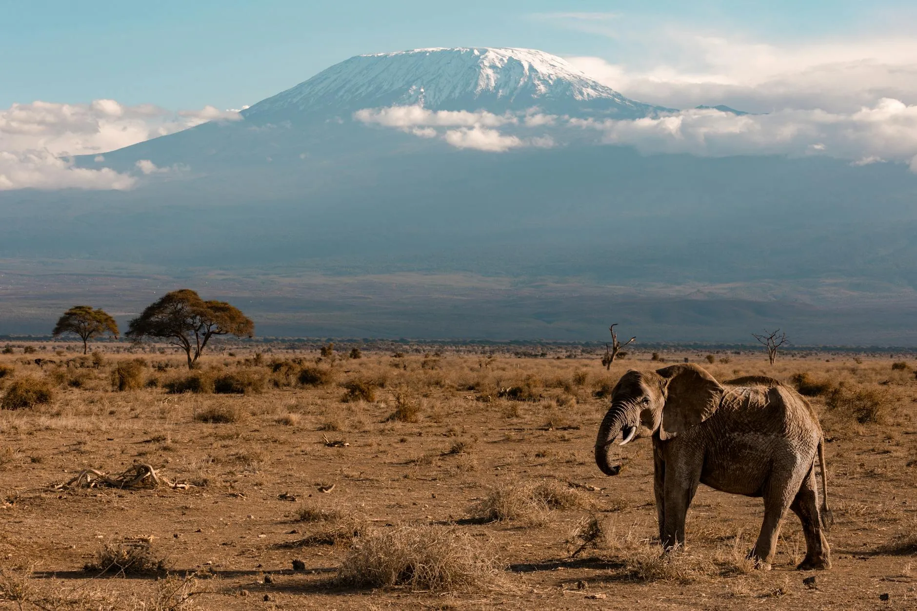 Tanzania — Mount Kilimanjaro