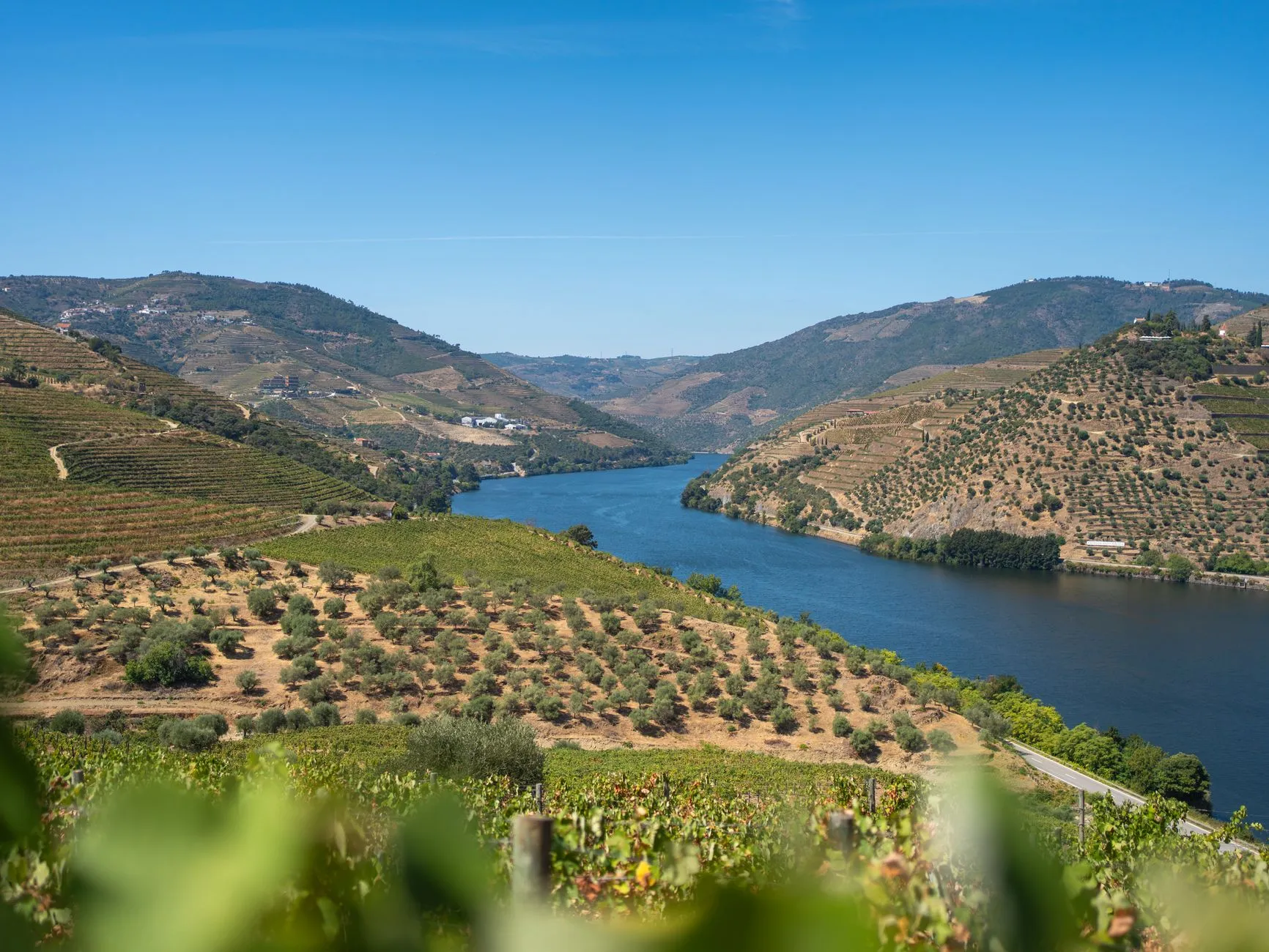 Portugal — Beautiful view of the Douro River flanked by vineyards in Porto, Portugal.