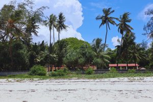 Hamburg to Mombasa, Kenya from €619
