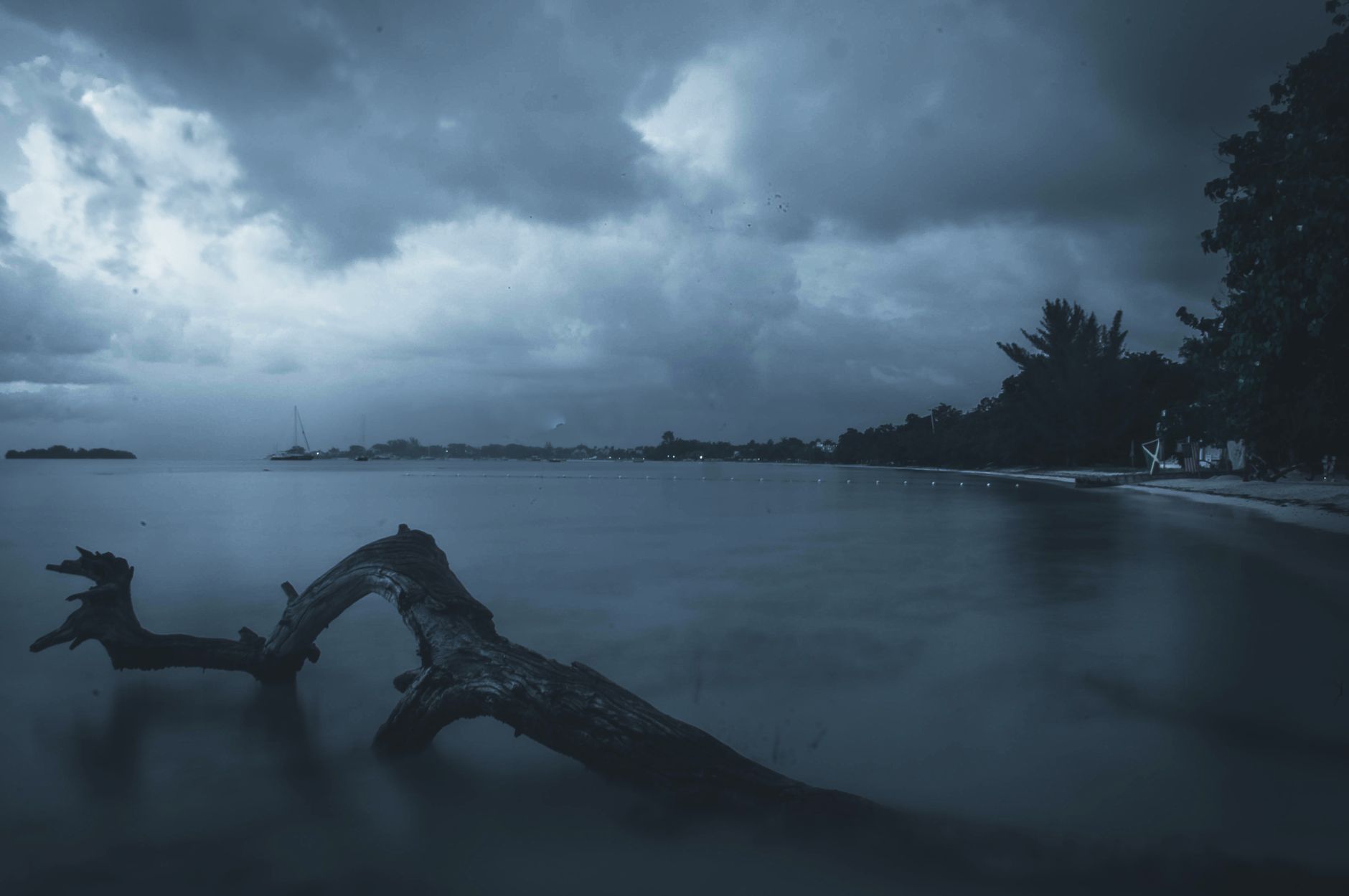 Jamaica — A tranquil beach scene at twilight in Negril, Jamaica, featuring driftwood and a dramatic sky.