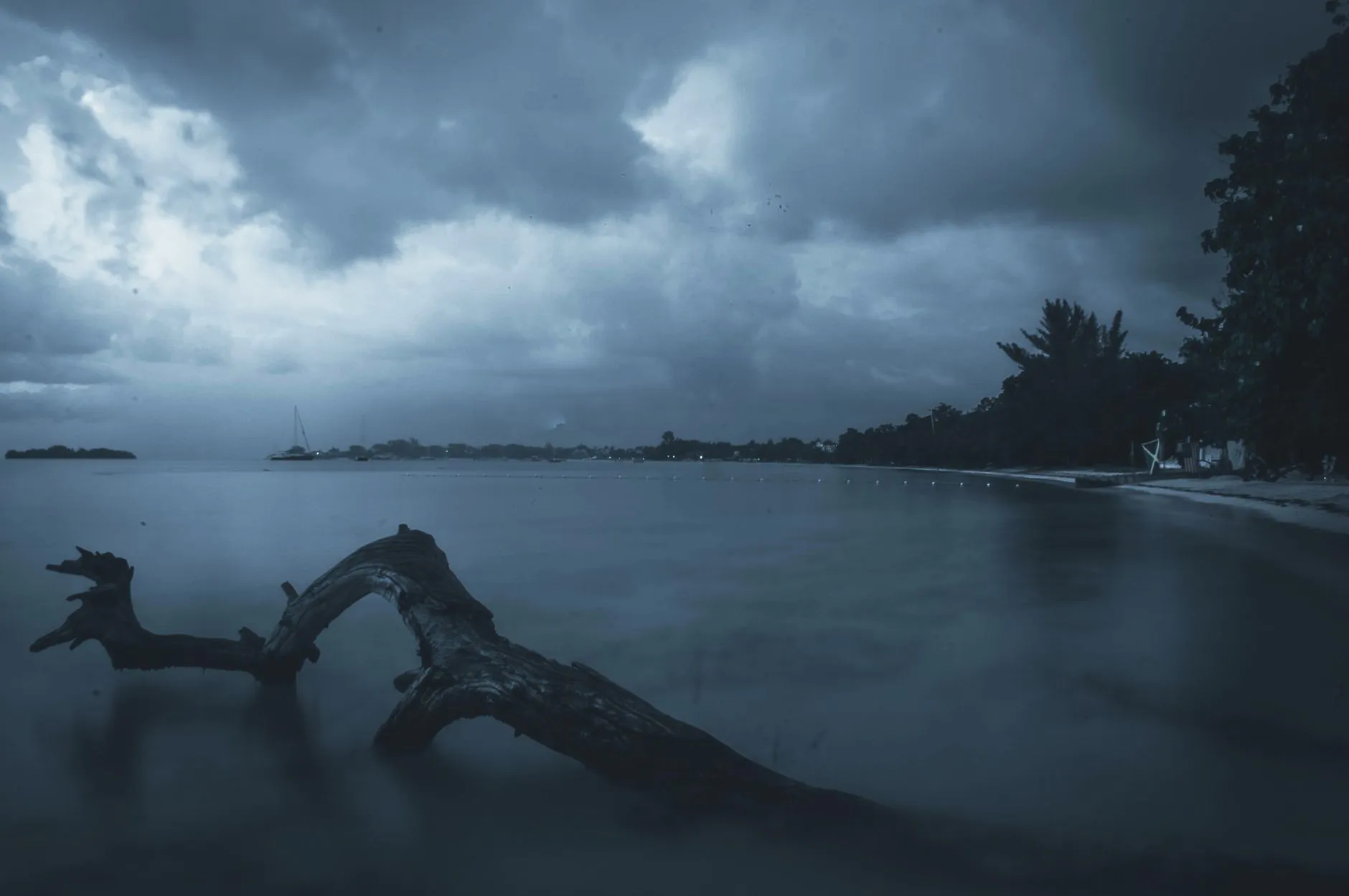 Jamaica — A tranquil beach scene at twilight in Negril, Jamaica, featuring driftwood and a dramatic sky.