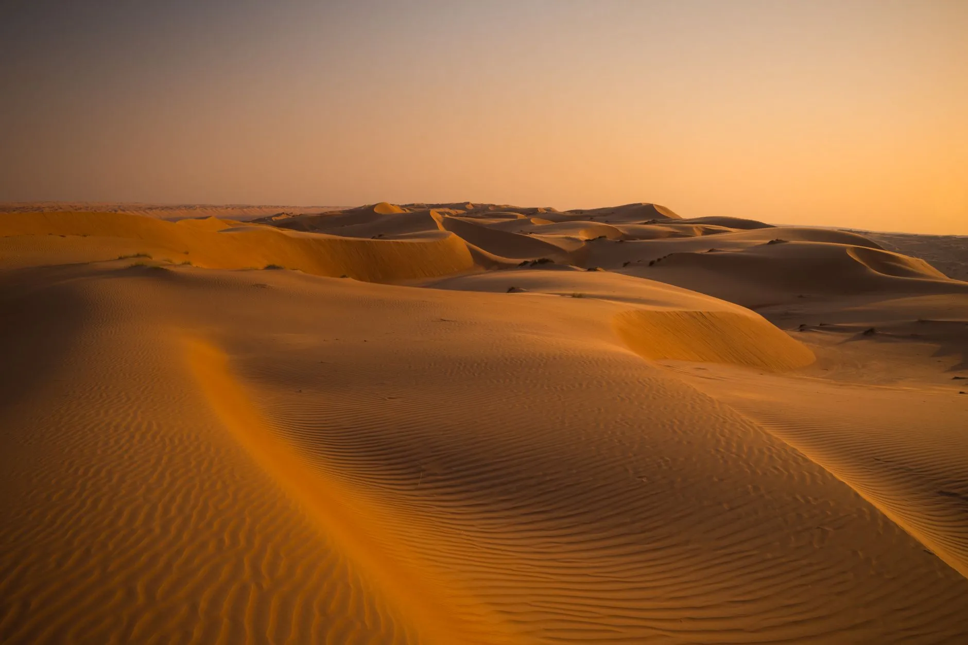 Oman — Captivating golden sand dunes under a soft sunset in the vast desert landscape of Oman.