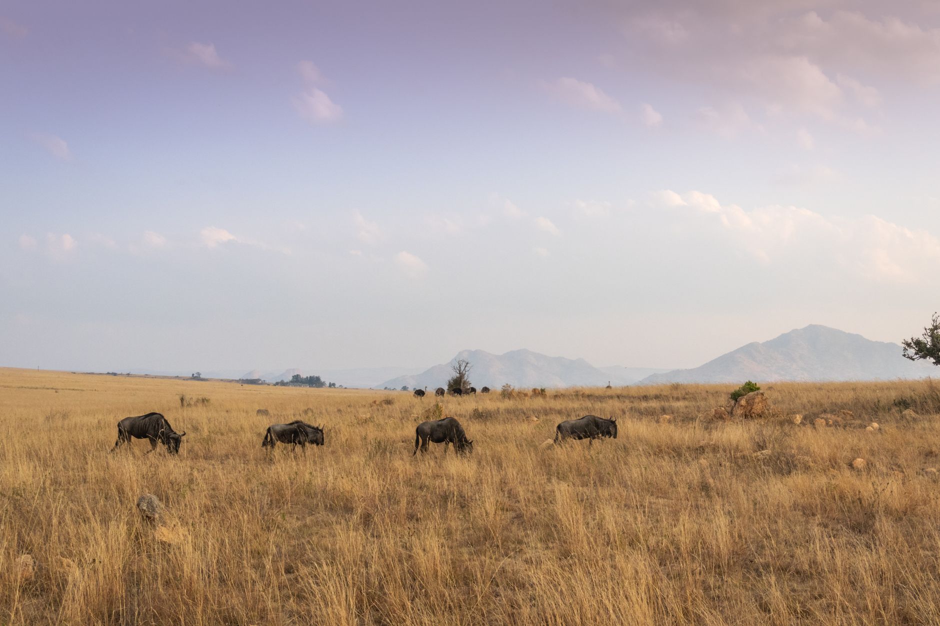 Angola — landscape