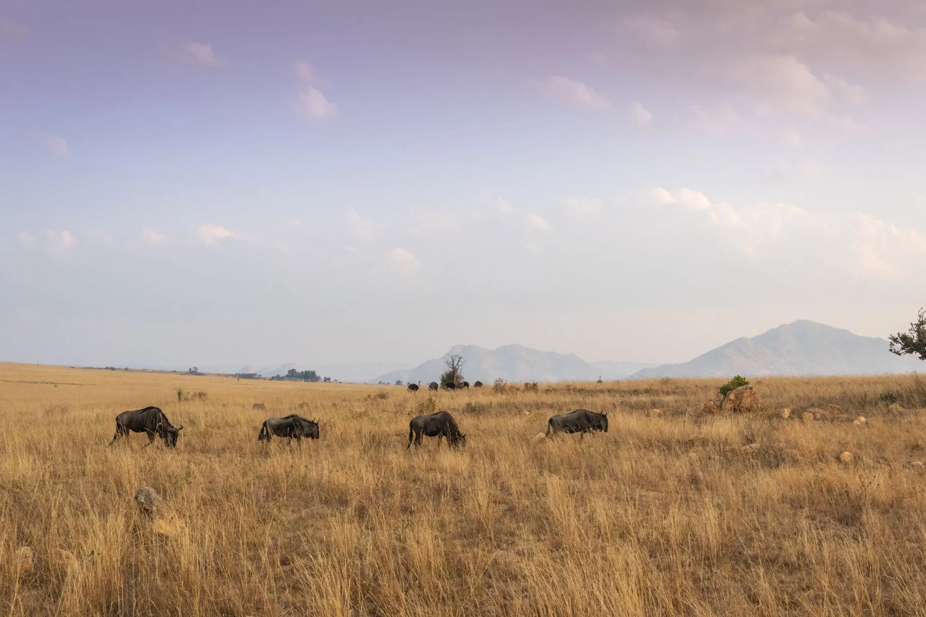 Angola — landscape