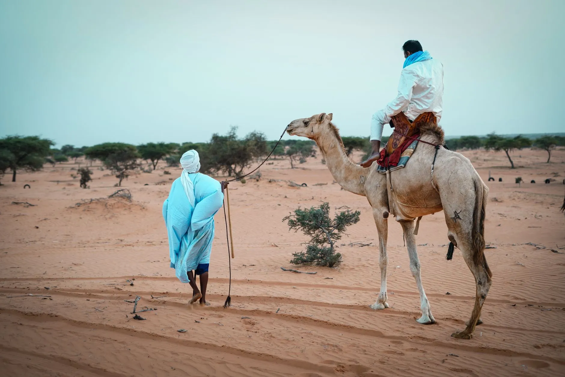 Mauritania — A man leads a camel in the desert near Nouakchott, Mauritania, showcasing traditional attire and transportation.