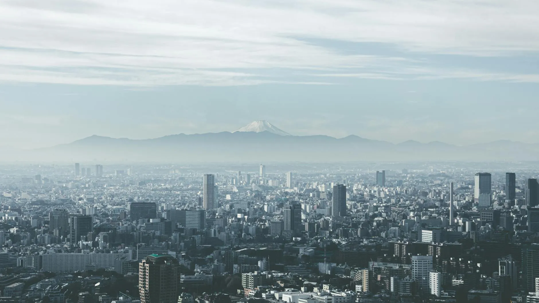 Tokyo landmark in Tokyo