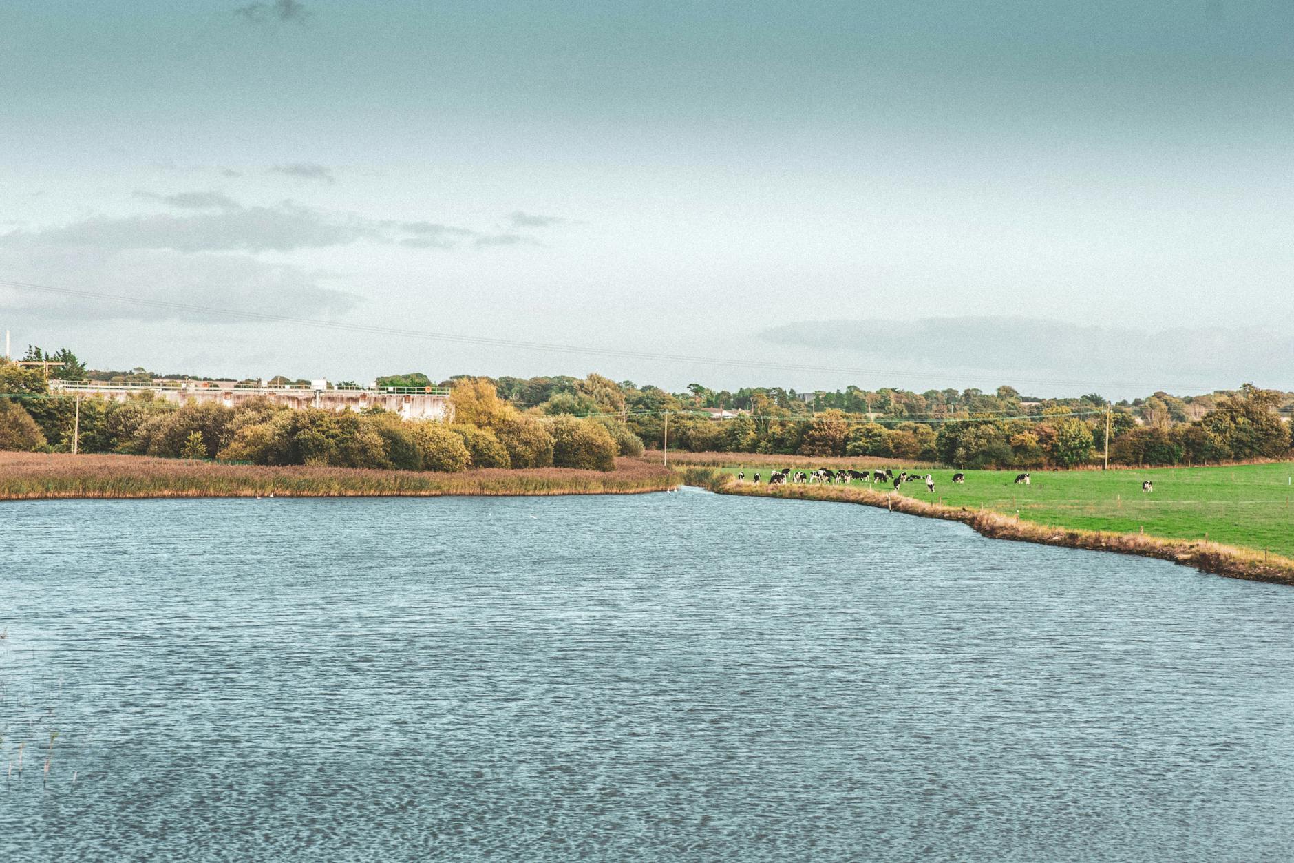 Cork, Ireland — Idyllic river and countryside scene in County Cork, Ireland featuring lush greenery and serene waters.
