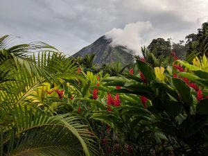 Washington to San José, Costa Rica from $314