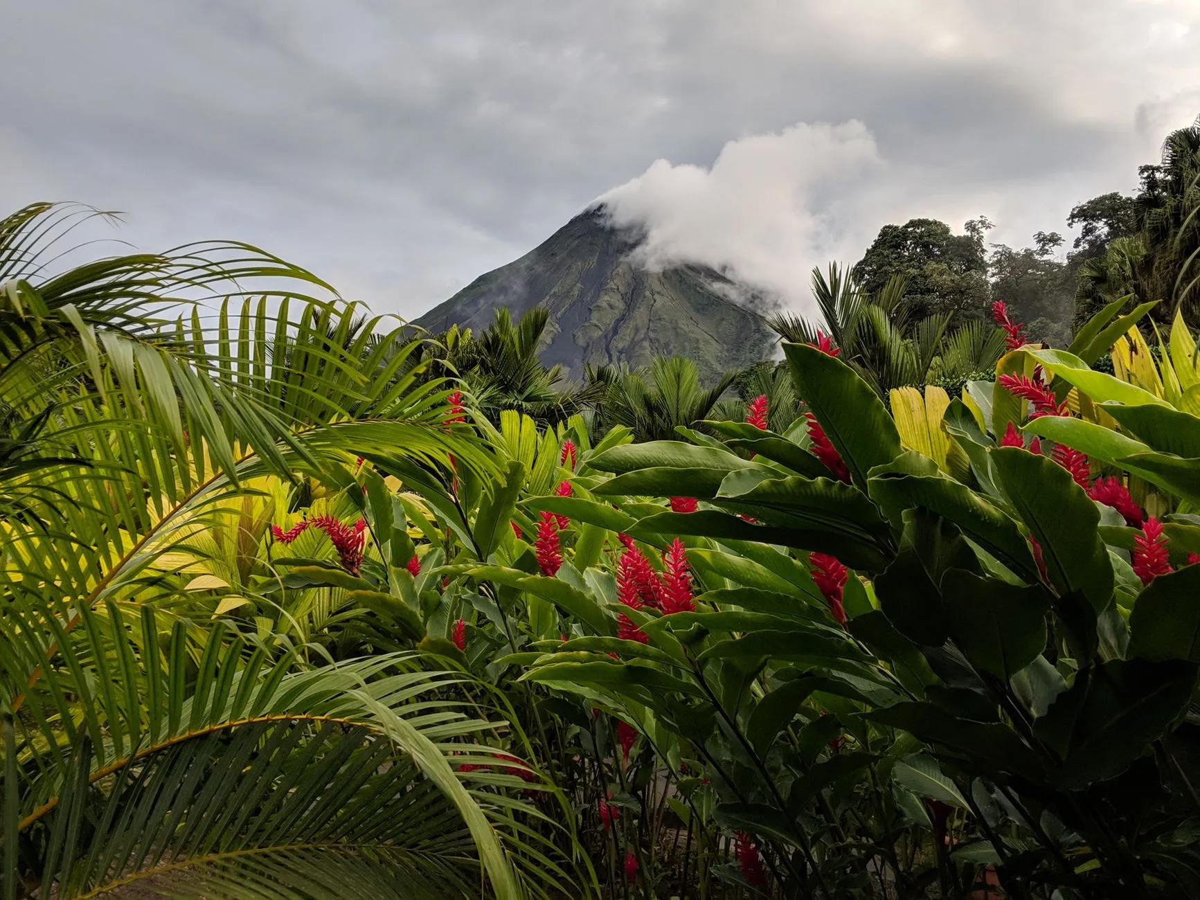 Costa Rica — Scenic view of Arenal Volcano surrounded by vibrant rainforest and tropical flora in Costa Rica.