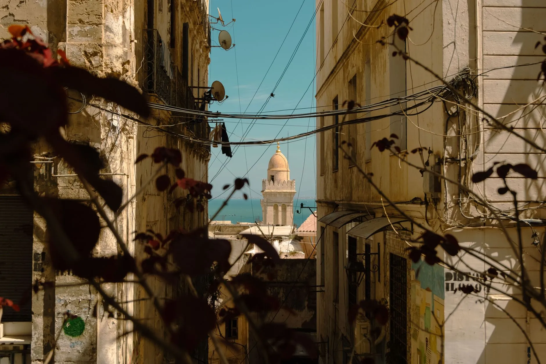 Tunis, Tunisia — Mediterranean city