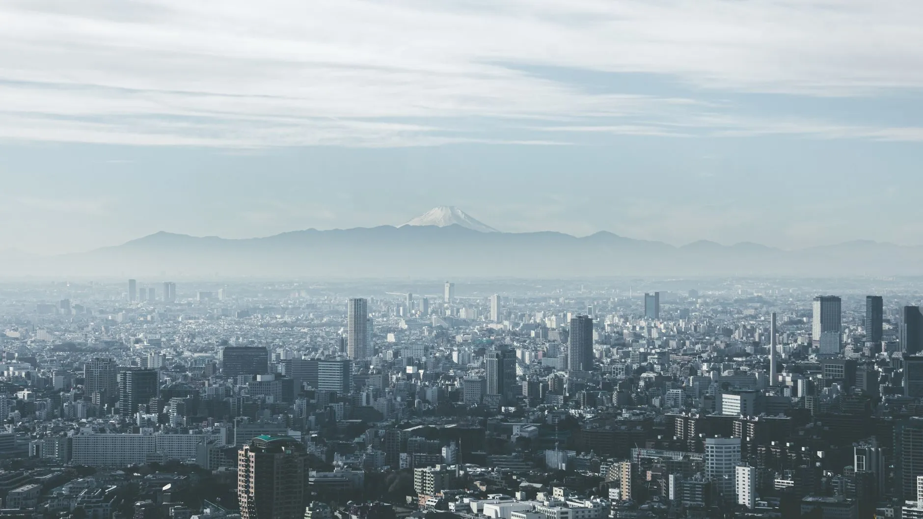 Tokyo landmark in Tokyo