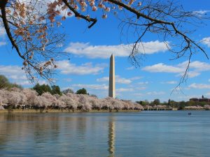 Barcelona to Washington, USA from €431