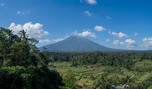 Vienna to Bali, Indonesia from €439