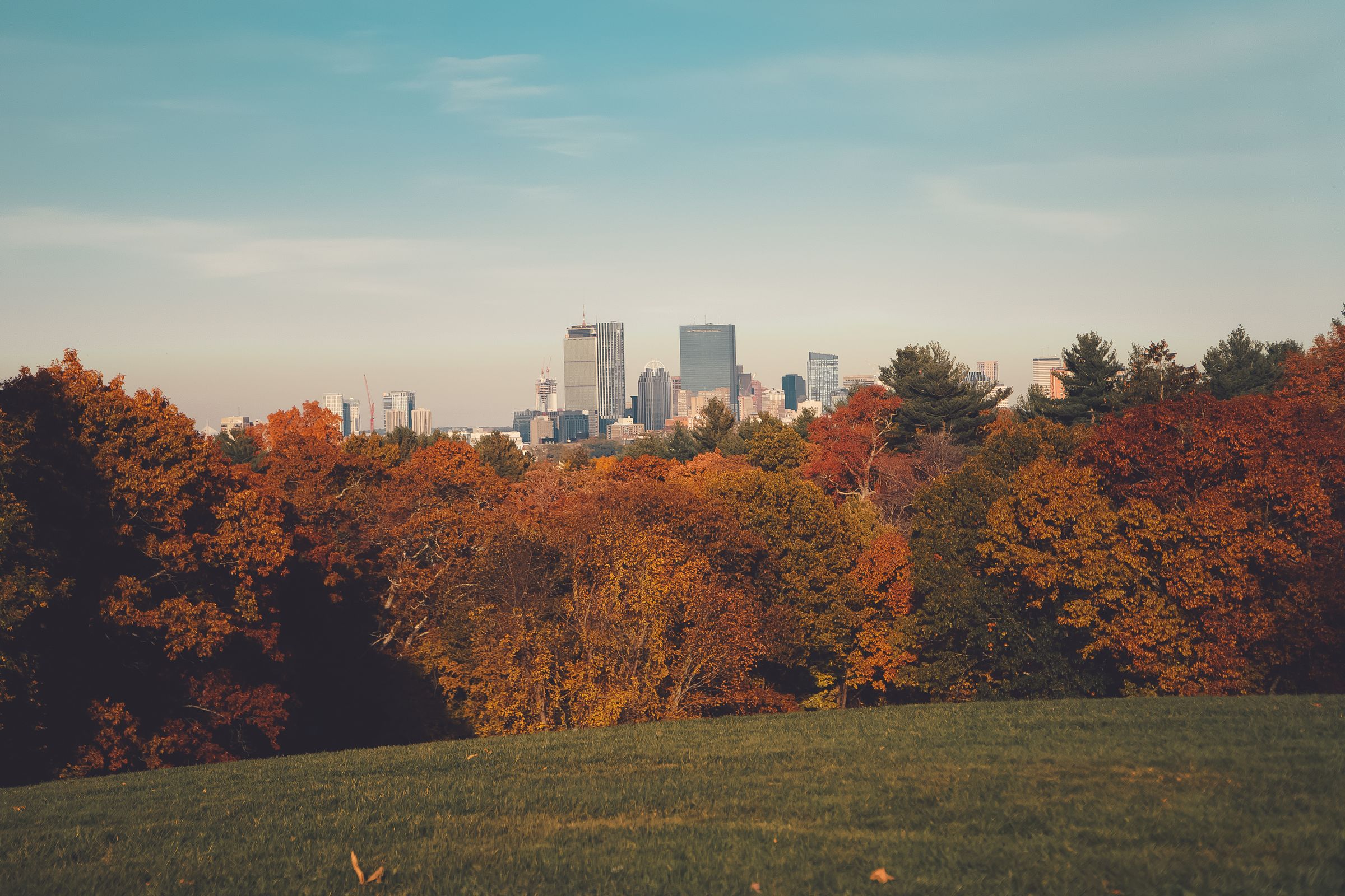 The Boston skyline seen across New England autumn foliage from a park hillside, Massachusetts, USA