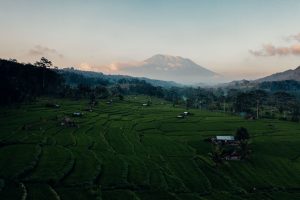 Dublin to Bali, Indonesia from €490
