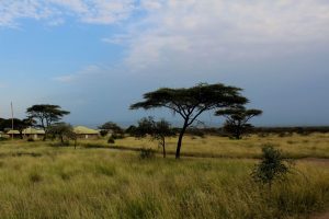 Tbilisi to Addis Ababa, Ethiopia from €391